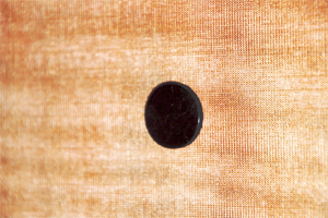 Bottone antiradiazioni cellulare tondo