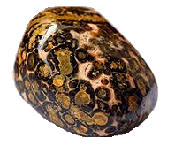 Le pietre zodiacali del Cancro - il Diaspro pelle di leopardo