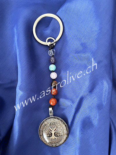 Portachiavi 7 Chakra con albero della vita